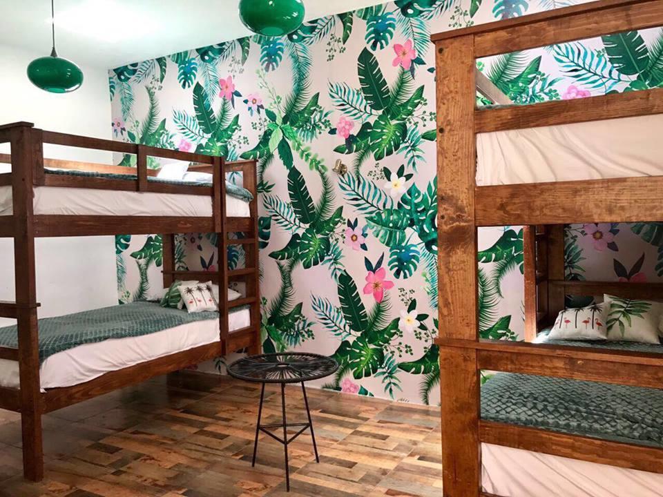 Hoja Santa Hostal Boutique 촐룰라 외부 사진