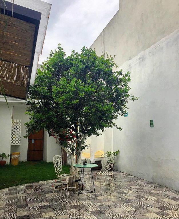 Hoja Santa Hostal Boutique 촐룰라 외부 사진